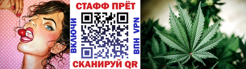  COCAIN Людиново