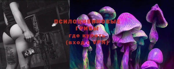 ПСИЛОЦИБИНОВЫЕ ГРИБЫ Абинск