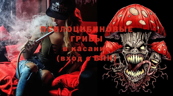 ПСИЛОЦИБИНОВЫЕ ГРИБЫ Абинск