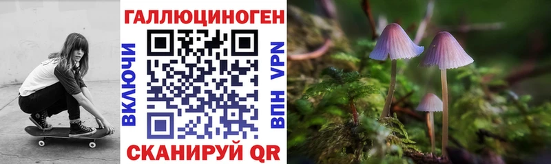 Галлюциногенные грибы Psilocybe  Людиново 